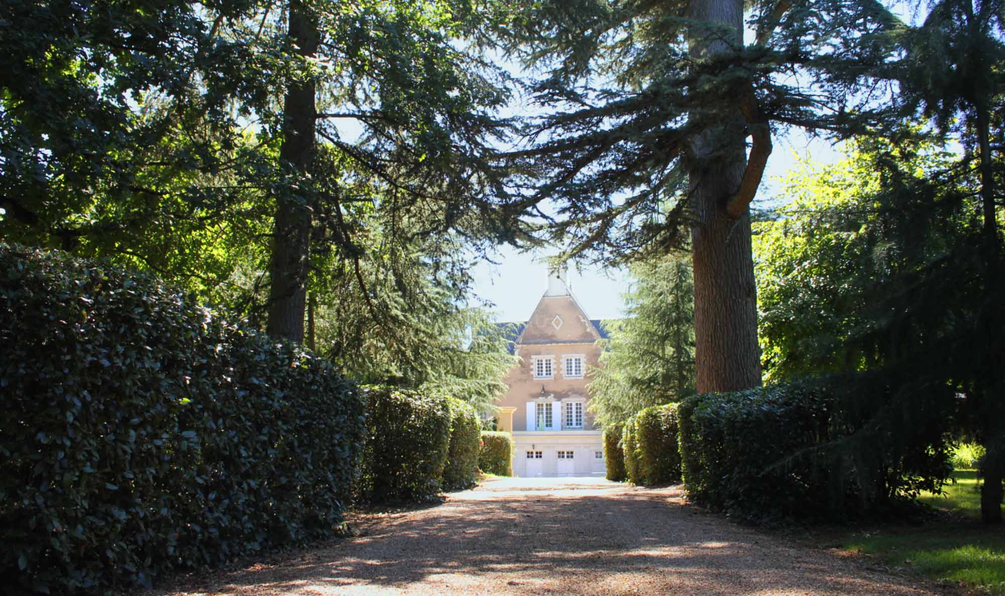 L'allée principale du Château de la Guimonière