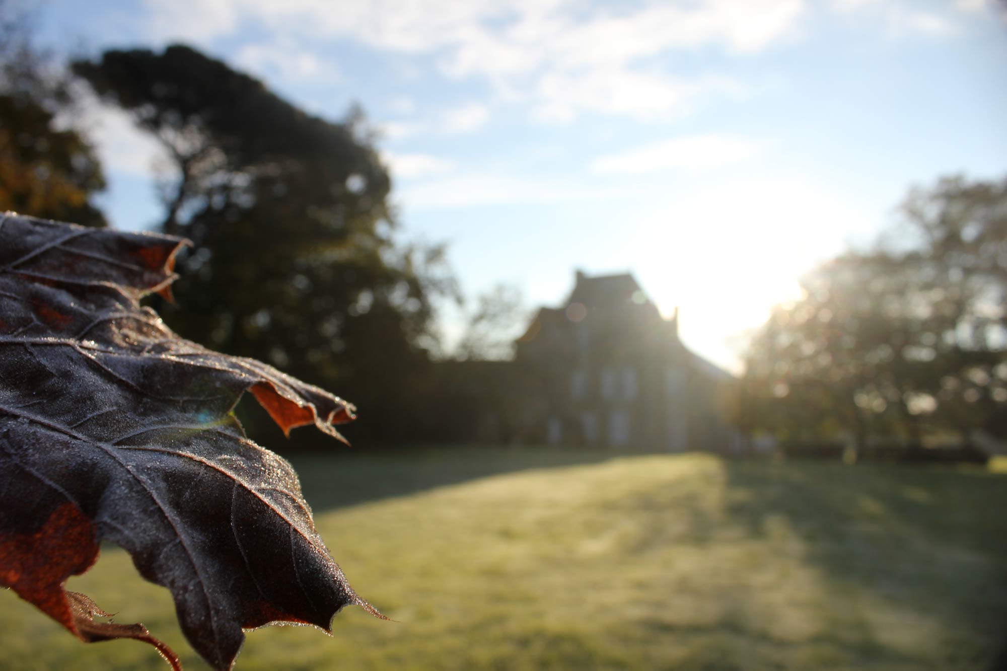 Le château aux premières gelées d'automne